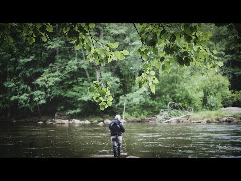 Kuulumisia Kymijoelta #2 | "Tilanne muuttuu"