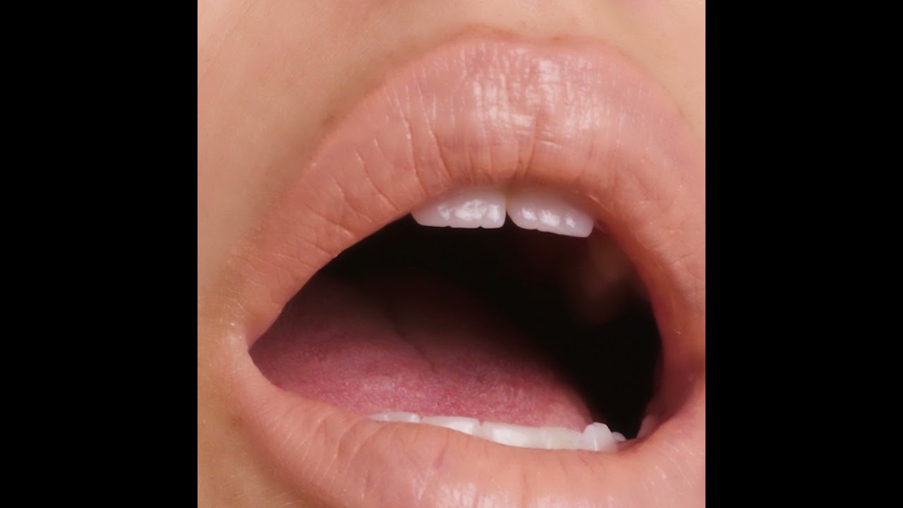 CTZN Cosmetics - NUDIVERSAL Lip Duo