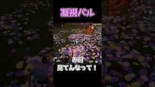 凝視パル #パルワールド