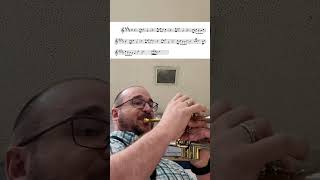 Download lagu The Final Countdown by Europe🎶🎷.              #shorts #trumpet mp3