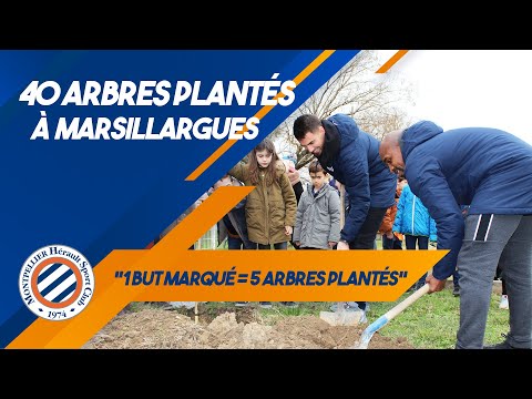 40 ARBRES  plantés à Marsillargues !
