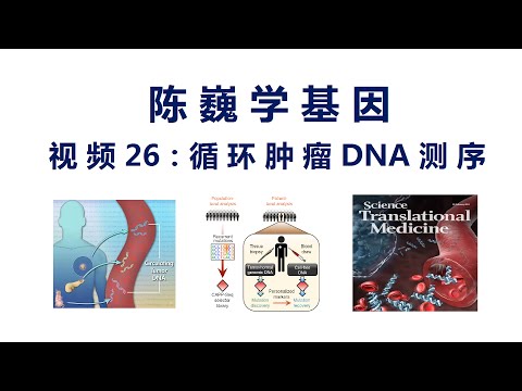 【陈巍学基因】视频26：循环肿瘤DNA测序