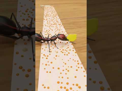 How Pesticides Kill Ants?