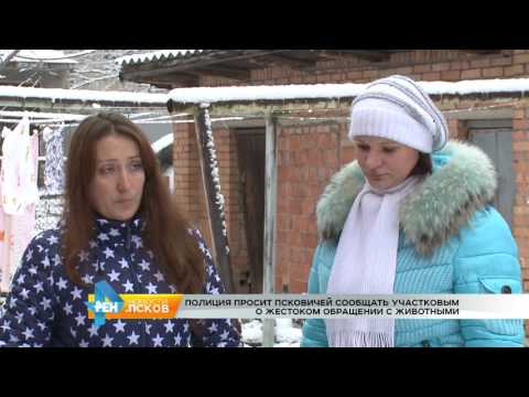 Новости Псков 16.01.2017 # Жестокое обращение с животными 