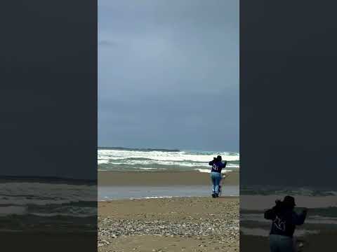 Just enjoying the beautiful screen with Sheba. #shorts  #oregon