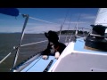 Ahoy