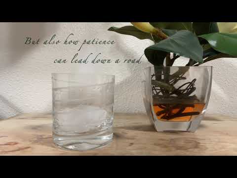 My Dear Wendy - "Gin" [Lyrics]