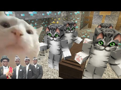 Coffin Meme Among Us - Cat Vibing in Minecraft