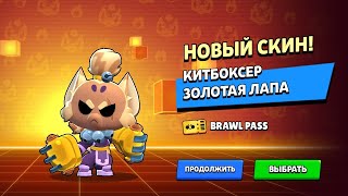 Мы сделали это Китбоксер (Китбоксер Золотая лапа)