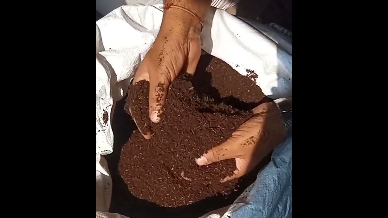 Swadeshi Khaad - Lightweight Rice Husk Organic Potting Compost for Terrace & Urban Gardening