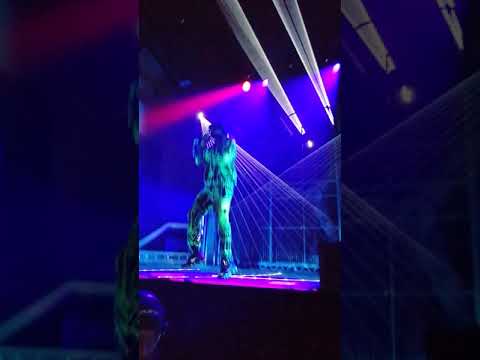 Skepta - Shutdown (SK Level tour) Printworks London