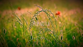 Erlando &amp; Jules Kyng - Fields Of Gold