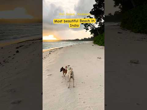 Neil Island Amazing Andaman sunrise — paradise found! 🌅 Best beach in India 🇮🇳✨