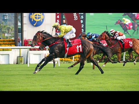 ジョッキークラブスプリント(G2) 2022/11/20(日) 日程・結果 JRAVAN World 海外競馬情報サイト