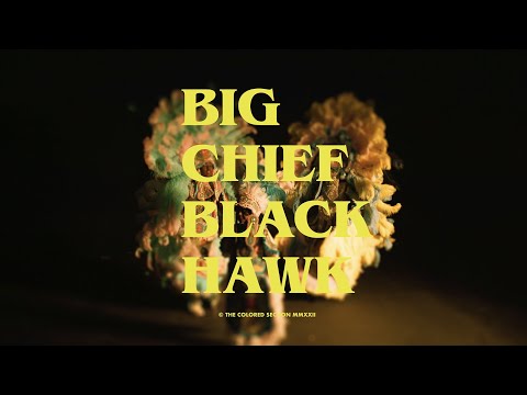 "Big Chief, Black Hawk" | Official Trailer