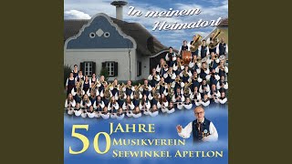 Der alte Lindenbaum