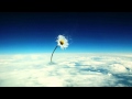 Colour to the Moon - Allan Taylor 