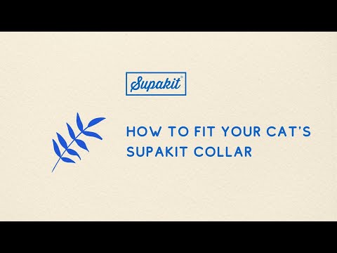 Supakit Cat Collars | How To Fit Your Cat's Supakit Collar