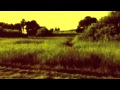 Jon and Roy - Vibrant Scene 