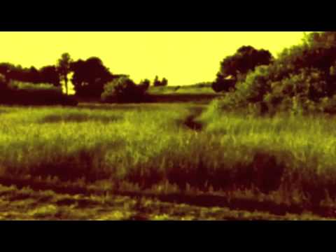 download lagu mp3 mp4 Vibrant Scene Lyrics, download lagu Vibrant Scene Lyrics gratis, unduh video klip Vibrant Scene Lyrics