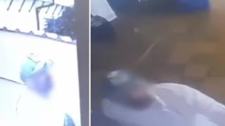 Ladri in casa di Massimo Ferrero: ecco il video del commando in azione