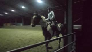 Emily and Fred Dressage Lesson (Vid 5)