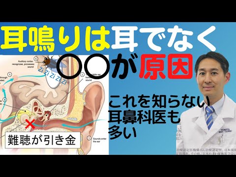 ブーンについて詳しく解説