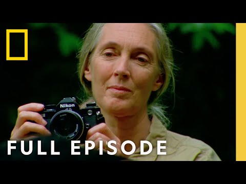 Jane Goodall: An Inside Look (Full Episode) | National Geographic