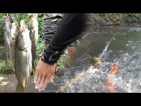 SE03EP073 - KUMPULAN sa AGUSAN ( TATLONG MALALAKI - SABAY SABAY ) Catch & Cook - San Pablo City, Lag