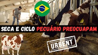 GLOBO RURAL 12/11/2023 COMPLETO DOMINGO