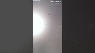 Dennis Wilson = Friday Night 🌙 🙌 😎 👌