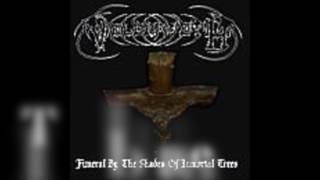 Music video thumbnail preview for Veldraveth - Funeral by the Shades of Immortal Trees (2004) by Veldraveth