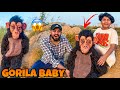 We Found Gorila Baby In Horror Jungle Ali Or Abdullah Dar Gaye