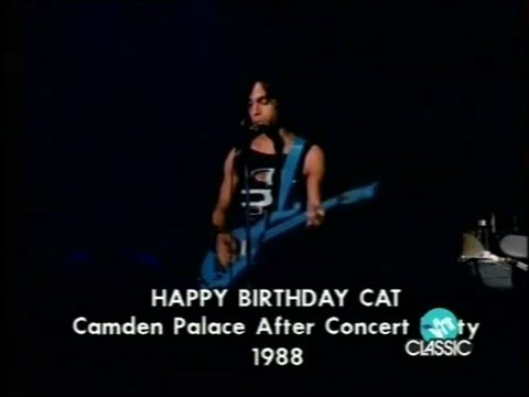 Prince Birthday Cat 1988 London Aftershow