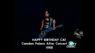 Prince Birthday Cat 1988 London Aftershow