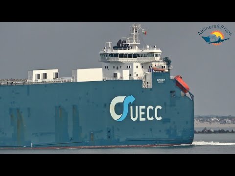 Hafen von ROTTERDAM Abend Ankünfte und -abfahrten - Shipspotting September 2021