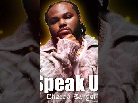 Tee Grizzley Type Beat x Skilla Baby Type Beat 2023 - Speak Up