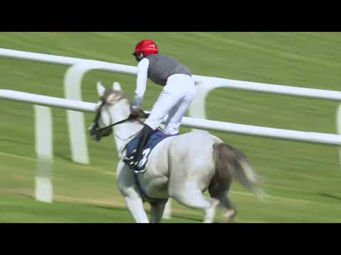 BAHRAIN INTERNATIONAL TROPHY 2022 | RACE 1