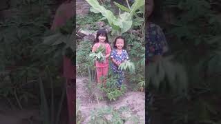preview picture of video 'Cerita lucu dan kasih sayang anak muaradua'