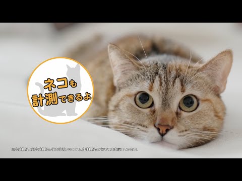 メディカル・データ・ビジョン株式会社（MDV）