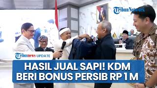 Persib Juara Hattrick! Dedi Mulyadi Bongkar Tas Isi Rp 1 M, Beri Bonus Si Maung dari Hasil Jual Sapi
