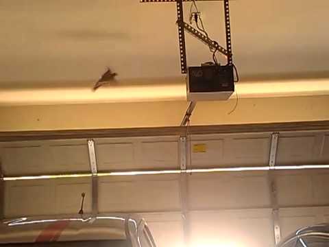 YouTube video about: How do I get a bird out of my garage?