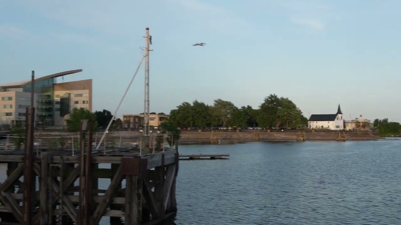 Sony A7R V — Stabilization test 1 - YouTube