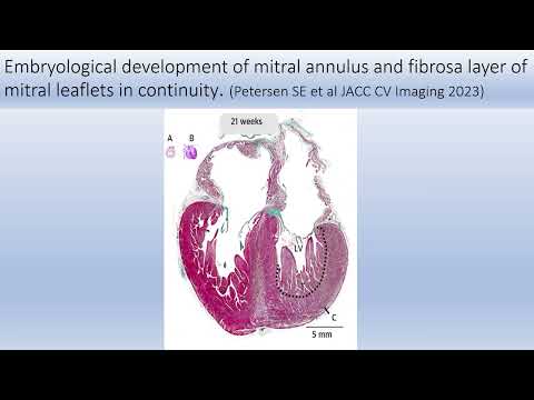 Grand Rounds 1.22.26