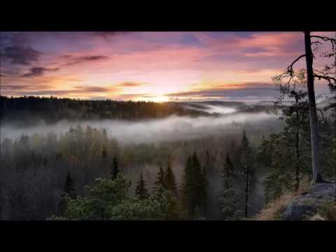 Thomas Jettel - Die Schöpfungsordnung Gottes - Teil  1