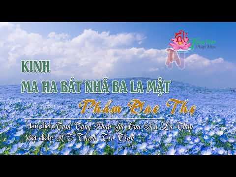 71. Phẩm Đạo Thọ Thứ Bảy Mươi Mốt