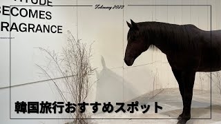 【#14 韓国旅行おすすめスポット】韓国vlog/韓国旅行/韓国カフェ/韓国ホテル/明洞/広蔵市場/TAMBURINS