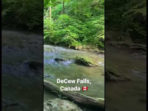 buvana's kitchen and lifestyle