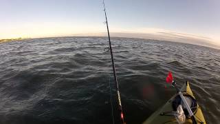 preview picture of video 'Kayak Fishing for Nice Bluefish in Moriches Bay with GoPro'