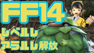 【 #FF14 】( #アーカイブ ) ルレ行ったり開放したり！